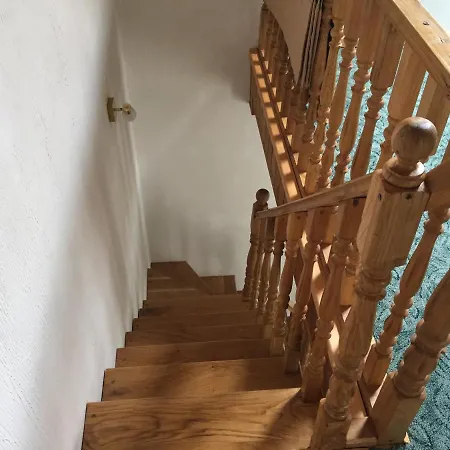 карпатський олександрія Mykulychyn