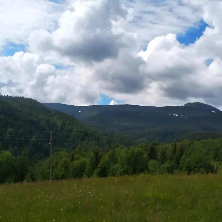 карпатський олександрія Lejlighed *