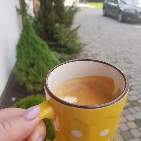 карпатський олександрія *