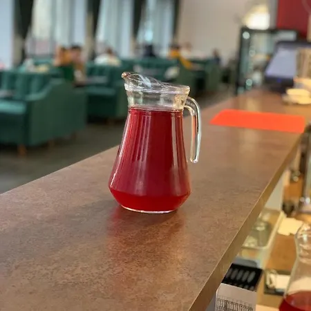 карпатський олександрія Appartement *