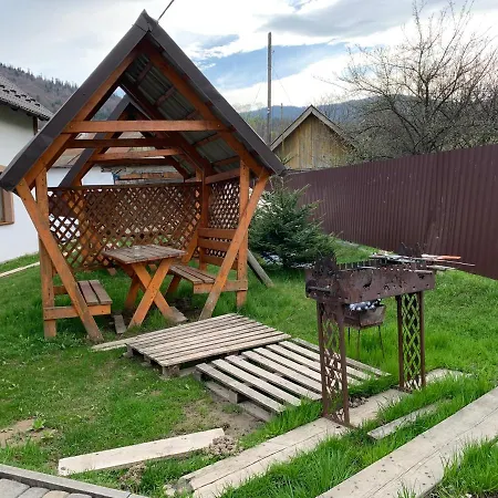 карпатський олександрія * Mykulychyn