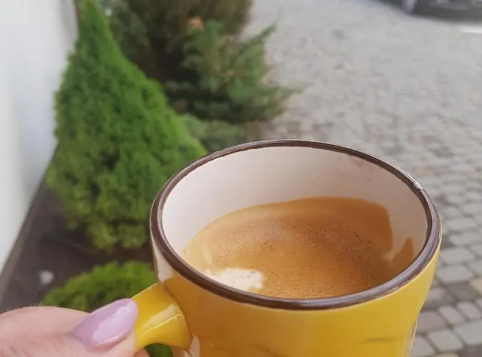 карпатський олександрія *