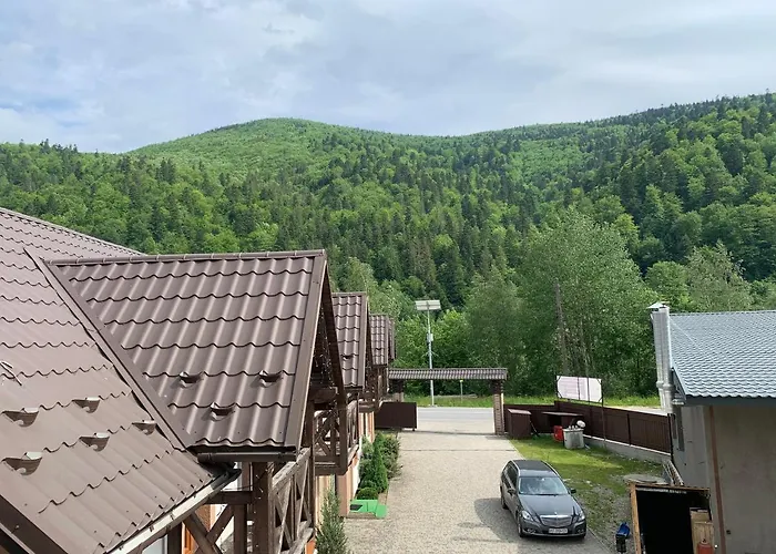 карпатський олександрія * Mykulyčyn